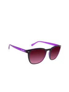 Chilli Beans Men Wayfarer Sunglasses With UV Protected Lens OCCL39271414
