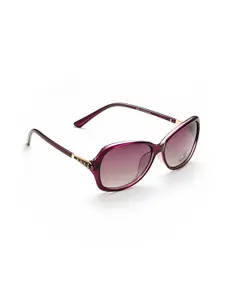 HASHTAG EYEWEAR Butterfly Sunglass With Polarised & UV Protected Lens 8231 purple