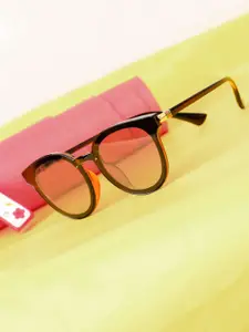 DressBerry Women Brown Wayfarer Sunglasses with UV Protected Lens DBSG-05-BR