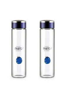 Freelance Ambrosia Navy Blue 2 Pieces Glass Double Wall Vacuum Water Bottle 600ml