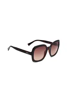 bebe Women Square Sunglasses with 100% UV Protected Lens BEBE 3070 C2 54 S-