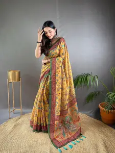 SGF11 Kalamkari Printed Silk Cotton Chanderi Saree