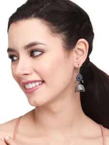 Anvik Dome Shaped Jhumkas Earrings