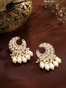 Priyaasi Contemporary Drop Earrings