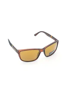 Steve Madden Outlook Men Wayfarer Sunglasses with UV Protected Lens 16426946006