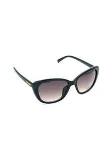 Steve Madden Outlook Women Butterfly Sunglasses With UV Protected Lens 16426944804
