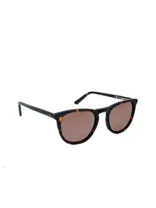 pierre cardin New Timeless Men Round Sunglasses 716736928142