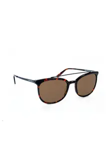 pierre cardin New Timeless Men Round Sunglasses 716736927992