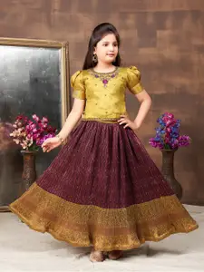 BAESD Girls Embroidered Ready to Wear Lehenga & Blouse