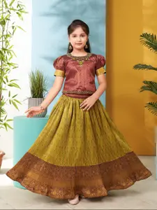 BAESD Girls Embroidered Ready to Wear Lehenga & Choli