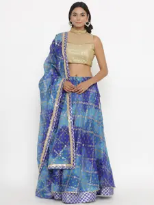 Kesarya Embellished Ready to Wear Lehenga & Unstitched Blouse With Dupatta
