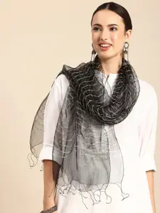 ASVA Striped Organza Silk Scarf