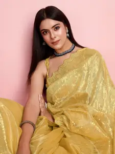 VAIRAGEE Embellished Sequinned Net Saree