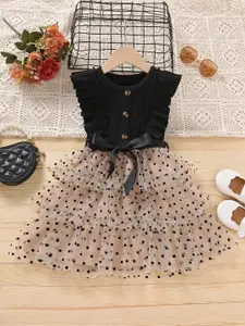 BAESD Polka Dots Printed Net Fit & Flare Dress