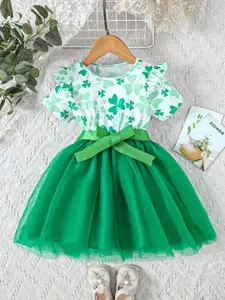 BAESD Floral Printed Net Fit & Flare Dress