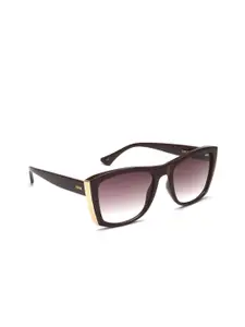 IDEE Women Square Sunglasses with UV Protected Lens IDS3085C3SG