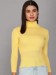 TANDUL Turtle Neck Long Sleeves Ribbed Woollen Pullover