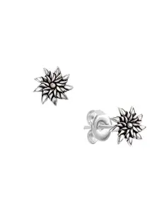 Nistra Women Floral Studs Earrings