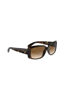 Ray-Ban Women Gradient Brown Lens Pillow Sunglasses - 0RB4389710/5158