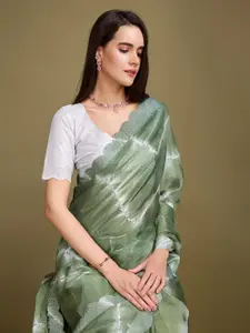 Rekha Maniyar Tie and Dye Sequinned Organza Saree
