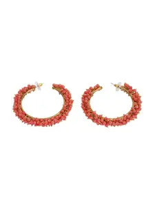 Designbox Circular Half Hoop Earrings