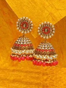 Designbox Classic Jhumkas Earrings