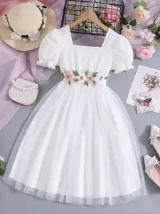 BAESD Flutter Sleeve Net Belted Fit & Flare Dress