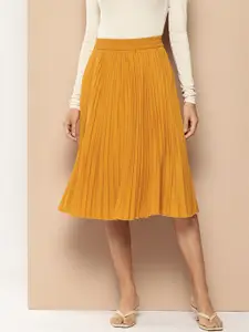 Chemistry Accordion Pleats Flared Skirt