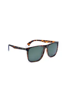 Polaroid Men Square Sunglasses with UV Protected Lens-16426943364