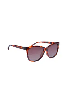 Polaroid Women Cateye Sunglasses with UV Protected Lens-16426943333
