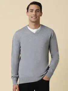 Allen Solly Textured V Neck Full Sleeves Sweater