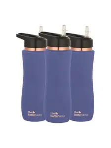 The Better Home Purple 3 Pieces Copper Water Bottle