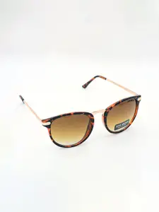 Steve Madden Women Wayfarer Sunglasses with UV Protected Lens 16426945276