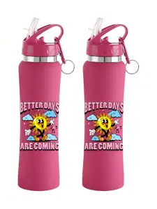 NIRLON Pink 2 Pieces Printed Stainless Steel Single Wall Vacuum Sippers 750 ml Each