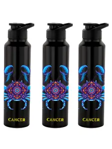 NIRLON Black 3 Pieces Stainless Steel Wall Vacuum Water Bottle 1 Ltr