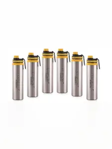 NIRLON Silver-Toned 6 Pcs Stainless Steel Solid Water Bottle 900 ML