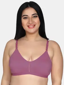 MAROON Cotton T-shirt Bra Full Coverage Non Padded Non-Wired All Day Comfort