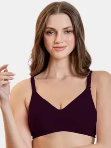 MAROON Non Padded Full Coverage Seamless Tshirt Bra All Day Comfort
