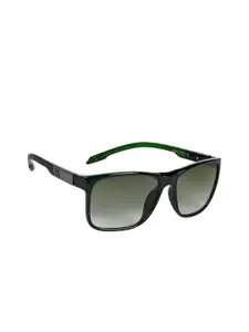 AISLIN Men Wayfarer Sunglass with UV Protected Lens ES_13520-95-AS-2013-GRN-GRGN-WF