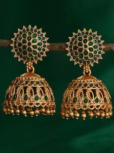 Fida Gold-Plated Artificial Stones and Beaded Dome Shaped Temple Jhumkas