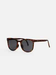 THE BEAR HOUSE Men Square Sunglasses