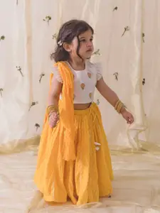 Tiber Taber Girls Embroidered Cotton Ready To Wear Lehenga & Blouse With Dupatta