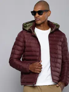 Levis Long Sleeves Hooded Puffer Jacket