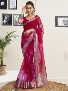 Satrani Tie and Dye Zari Organza Saree
