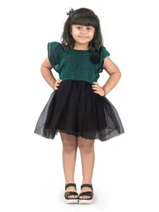 Shrithi Fashion Fab Net Fit & Flare Dress