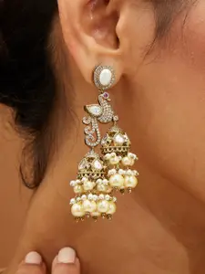 Yinara Contemporary Jhumkas Earrings
