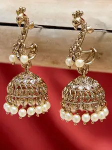 Fida Peacock Shaped Jhumkas Earrings