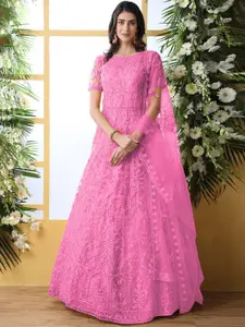 APNISHA Embroidered Net Fit & Flare Maxi Dress