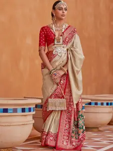 DEVATITHI Woven Design Zari Patola Saree