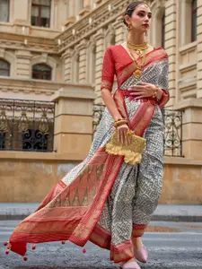 DEVATITHI Women PURE PATOLA Saree